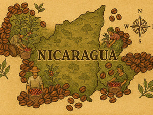 En İyi Nikaragua Kahvesi Hangisi? Nicaragua Kahveleri Rehberi