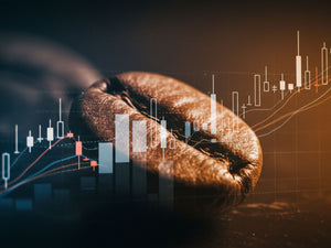 Dünya Kahve Borsaları ve Piyasaları Rehberi