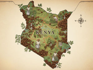 En İyi Kenya Kahveleri Hangileri? Kenya Kahvesi Özellikleri