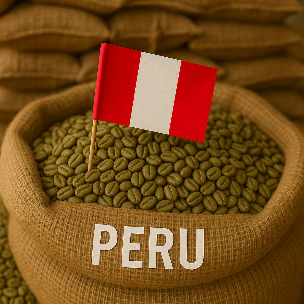 Peru Kajamaka SHB EP Grade 1 arabica yesil kahve cekirdegi